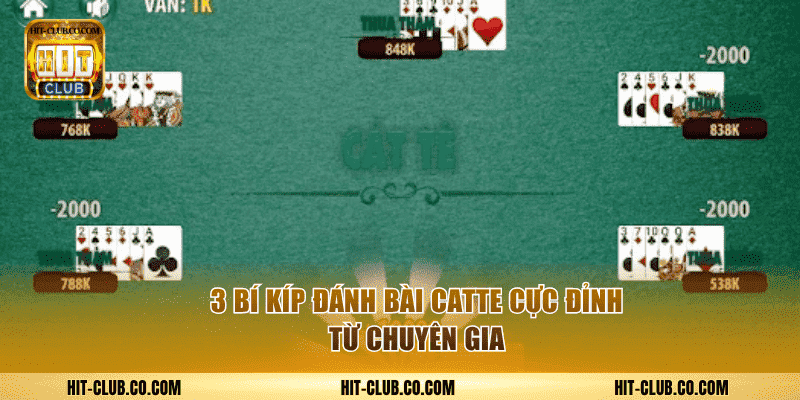 3 bí kíp đánh bài catte cực đỉnh từ chuyên gia.